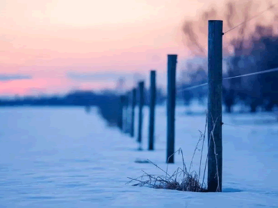 ​吃雪梨会上火吗？吃雪梨能止咳