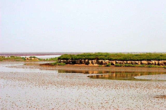 2、随后在湿地公园里可以游玩湿地生态公园、红海滩景区、大洼湖湿地、湿地公园内游览等。