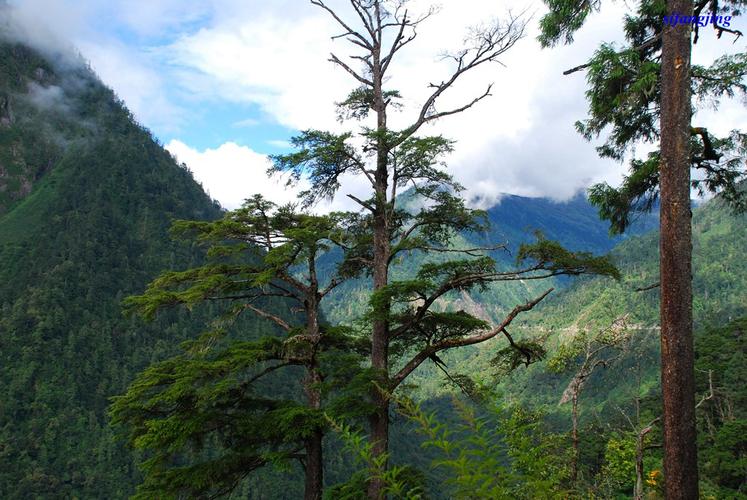 5、昌宁高黎贡山风景名胜区