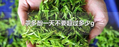 ​荷叶茶多酚对人体的危害 荷叶茶的成分是什么