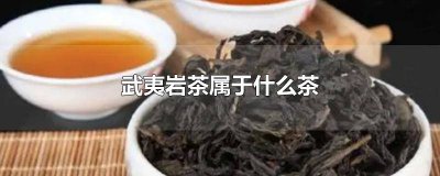 ​武夷岩茶大红袍属于什么茶类 大红袍是武夷岩茶的一种吗