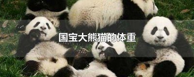 ​国宝大熊猫的体重 国宝大熊猫的体重和寿命