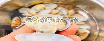 ​怎么让花甲把沙子吐干净视频 怎么让花甲把沙子吐干净一点