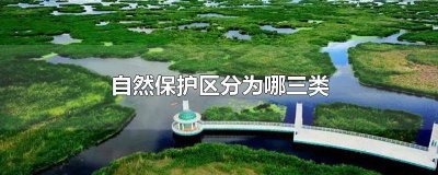 ​自然保护地保护类型包括 自然保护地定义