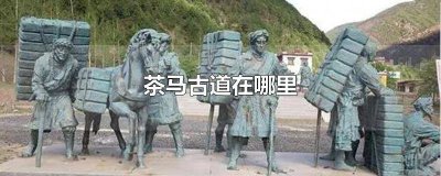 ​茶马古道在哪里 云南茶马古道在哪里