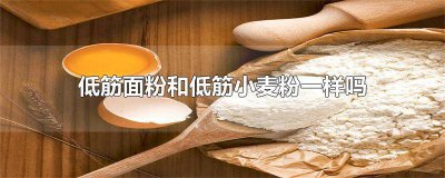 ​低筋面粉和低筋小麦粉有区别吗? 低筋面粉和小麦粉一样吗?