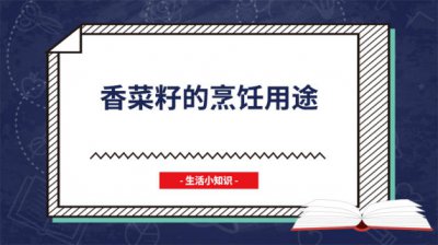 ​香菜籽如何食用 香菜籽的用处