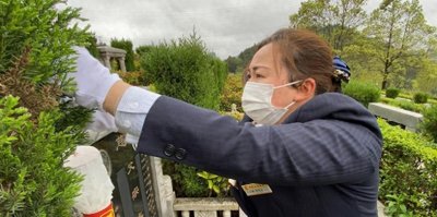 ​不拖延！选择上坟最佳时机，清明节前一定要抓住这个机会