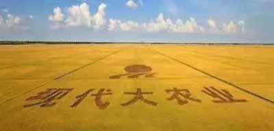 ​“橘生淮南则为橘，橘生淮北则为枳”