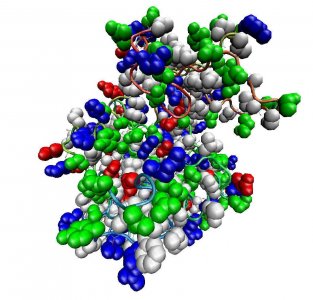 ​高分子材料的结构、形态和性能（高分子化合物有哪些）