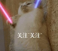 比熊犬好饲养吗（比熊犬的优缺点有哪些）