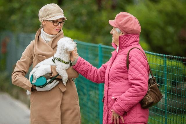 比熊犬好饲养吗（比熊犬的优缺点有哪些）