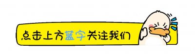 ​豆柴犬为什么不建议养