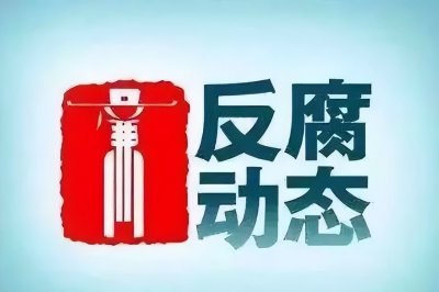 ​王金才被查，张健被“双开”