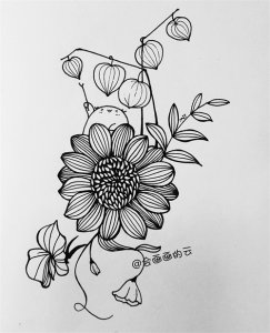 ​分步骤讲解线描简笔画花卉，零基础也可以画得好看
