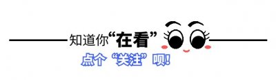 ​相声界的璀璨星辰：杨少华——艺术与家庭的完美融合