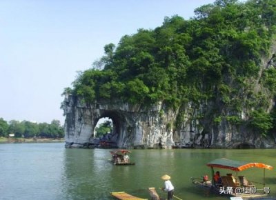 ​神树石灰岩干红葡萄酒(石灰岩海岸干红葡萄酒)