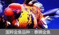 过滤滤材的正确使用方法（介绍5种常见过滤方式以及10种常见滤材）(25)