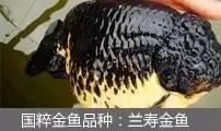 过滤滤材的正确使用方法（介绍5种常见过滤方式以及10种常见滤材）(22)