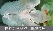 过滤滤材的正确使用方法（介绍5种常见过滤方式以及10种常见滤材）(23)