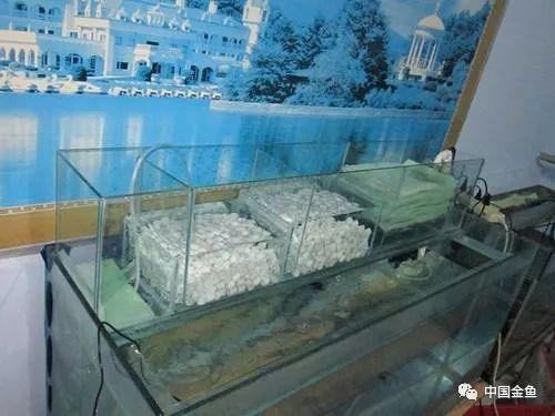 过滤滤材的正确使用方法（介绍5种常见过滤方式以及10种常见滤材）(5)