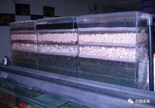 过滤滤材的正确使用方法（介绍5种常见过滤方式以及10种常见滤材）(7)