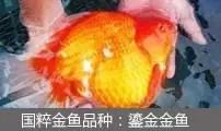 过滤滤材的正确使用方法（介绍5种常见过滤方式以及10种常见滤材）(27)