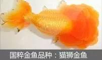 过滤滤材的正确使用方法（介绍5种常见过滤方式以及10种常见滤材）(24)