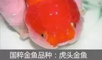 过滤滤材的正确使用方法（介绍5种常见过滤方式以及10种常见滤材）(26)