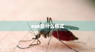 ​aee是什么格式(aae文件怎么转成jpg)