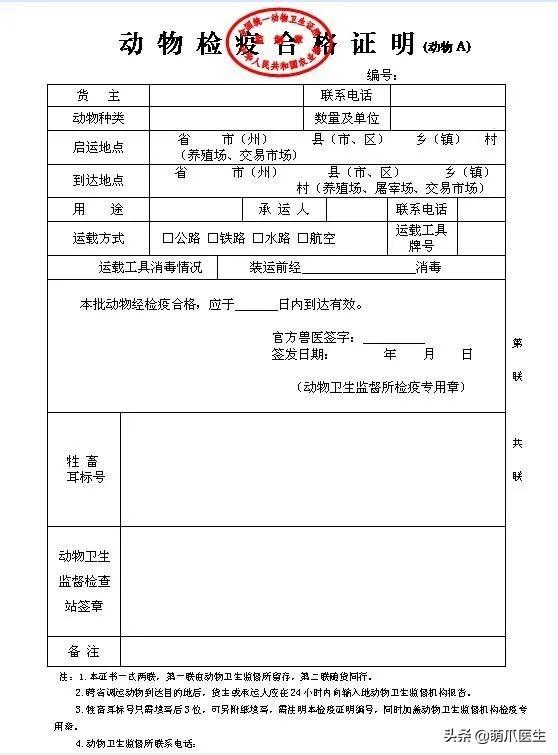 托运猫的正确方法图解（托运送猫上不归路）(7)