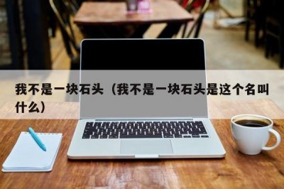 ​我不是一块石头（我不是一块石头是这个名叫什么）