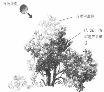 简单好画的风景速写 初学者（风景速写不会画）(3)