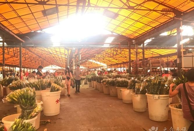 广州哪里有鲜花批发市场地址