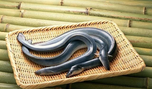海鱼大全，大片海鱼的做法大全？图9
