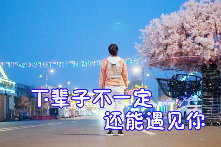 这辈子不一定还能遇见你是什么歌（这辈子不一定还能遇见你是啥歌）