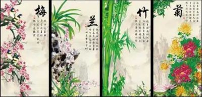 ​花中四君子指的是什么