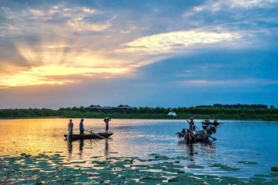 ​这里是济宁·映像|风光旖旎微山岛，放松休闲好去处