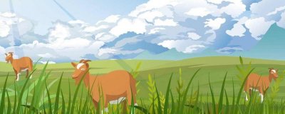 ​不吃五谷吃青草是什么生肖