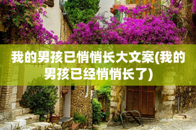 ​我的男孩已悄悄长大文案(我的男孩已经悄悄长了)