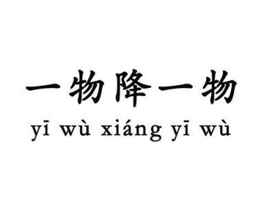 ​一物降一物的前一句是什么（一物降一物）