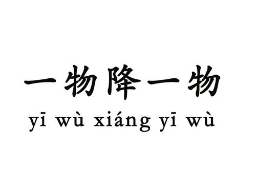 一物降一物的前一句是什么（一物降一物）