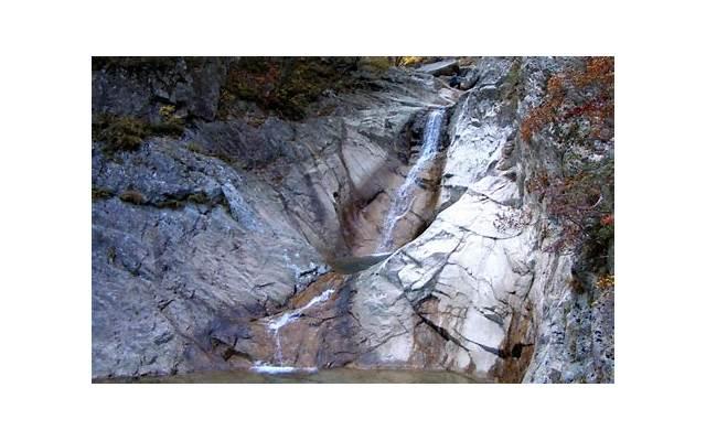 离婚了是不是还可以复婚 离婚了是不是还可以复婚