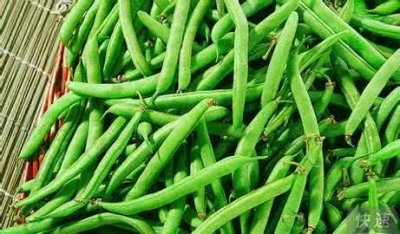 ​四季豆怎样长期保存,新鲜的四季豆吃不完怎么保存最好