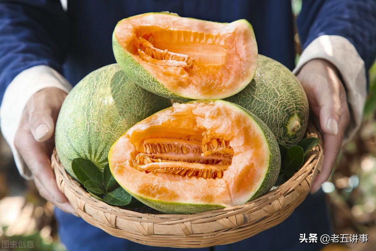 西域是现在的哪些国家(西域现在是中国哪个省)