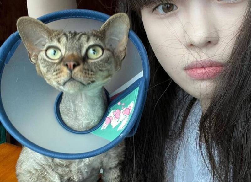 自制美白祛斑面膜大全 自制美白祛斑面膜制作方法大全