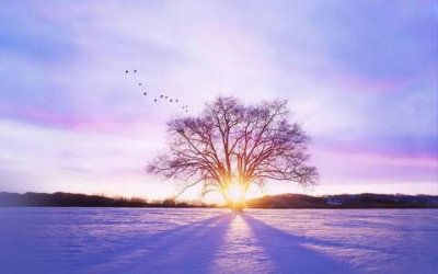 ​空间霸气留言大全（又拽又入心的句子）