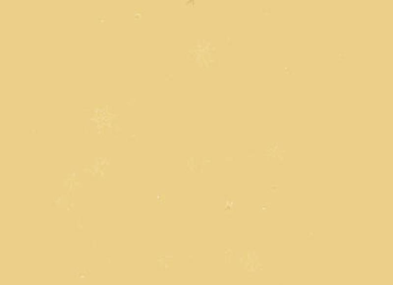 心理防线很弱怎么办