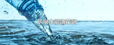 ​矿泉水能浇花吗