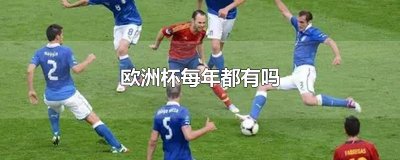 ​欧洲杯每年都有吗